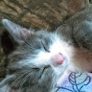 Meet your Posher, Lindy